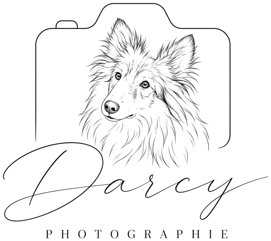 Logo de Darcy Photographie